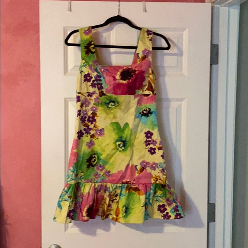 NWT Alyn Paige Drop Waist Floral Dress